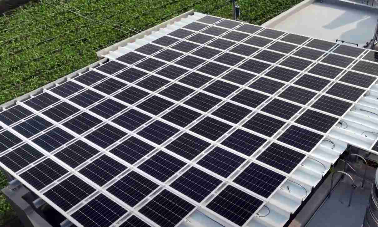 彩霸王SunSteel光电浪板升级双玻结构，，，，以提升机械负载强度及气候耐候度，，，可广泛运用于多元场域