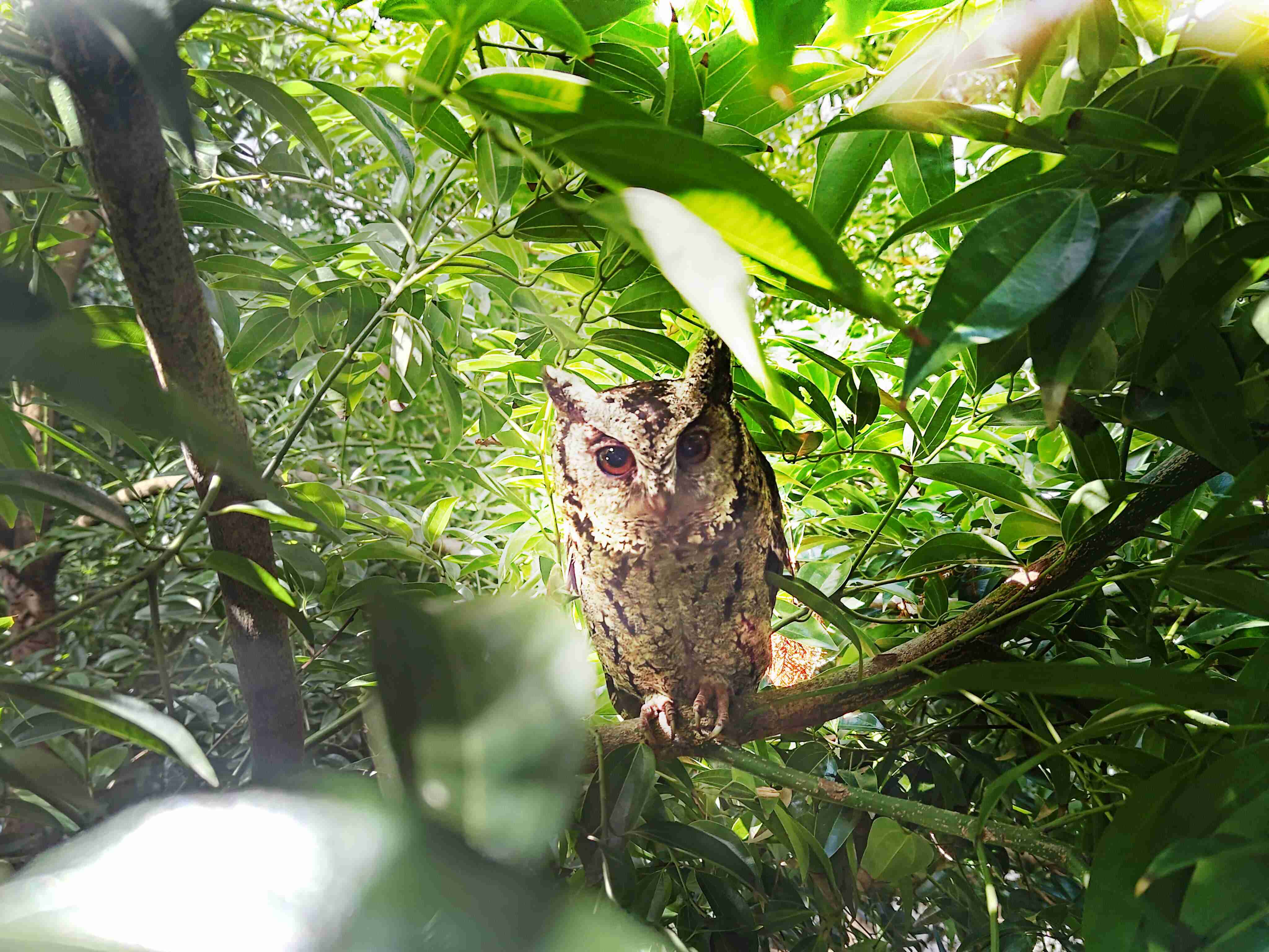 彩霸王致力提倡净零绿生活，，16年以来在全球各厂区植树逾百万棵，，，，造就各厂区树木蔚然成林，，，，犹如森林工厂，，，成为许多生物的栖息地